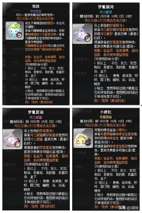 头条领取宠物本,头条独家福利，领养萌宠轻松上手